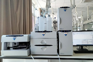 ʢ������(�й���)���ٷ���վ