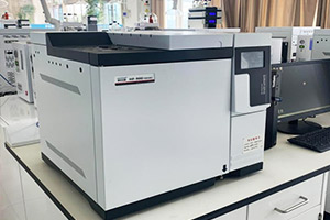 ʢ������(�й���)���ٷ���վ