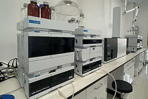 ʢ������(�й���)���ٷ���վ